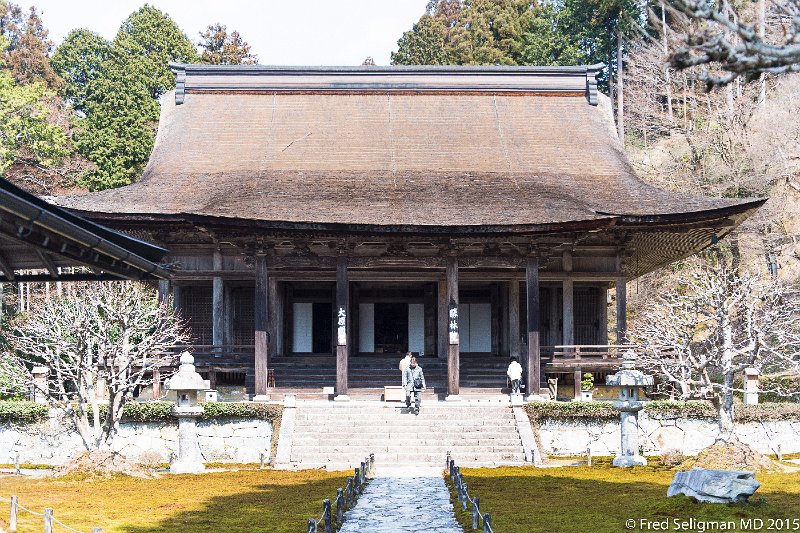 20150313_115846 D4S.jpg - Sanzen-in Temple, Kyoto Prefecture.